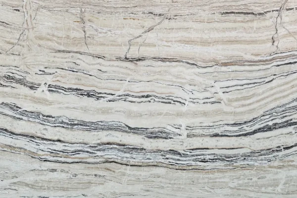 اسلب تراوونیکس کارمانیا